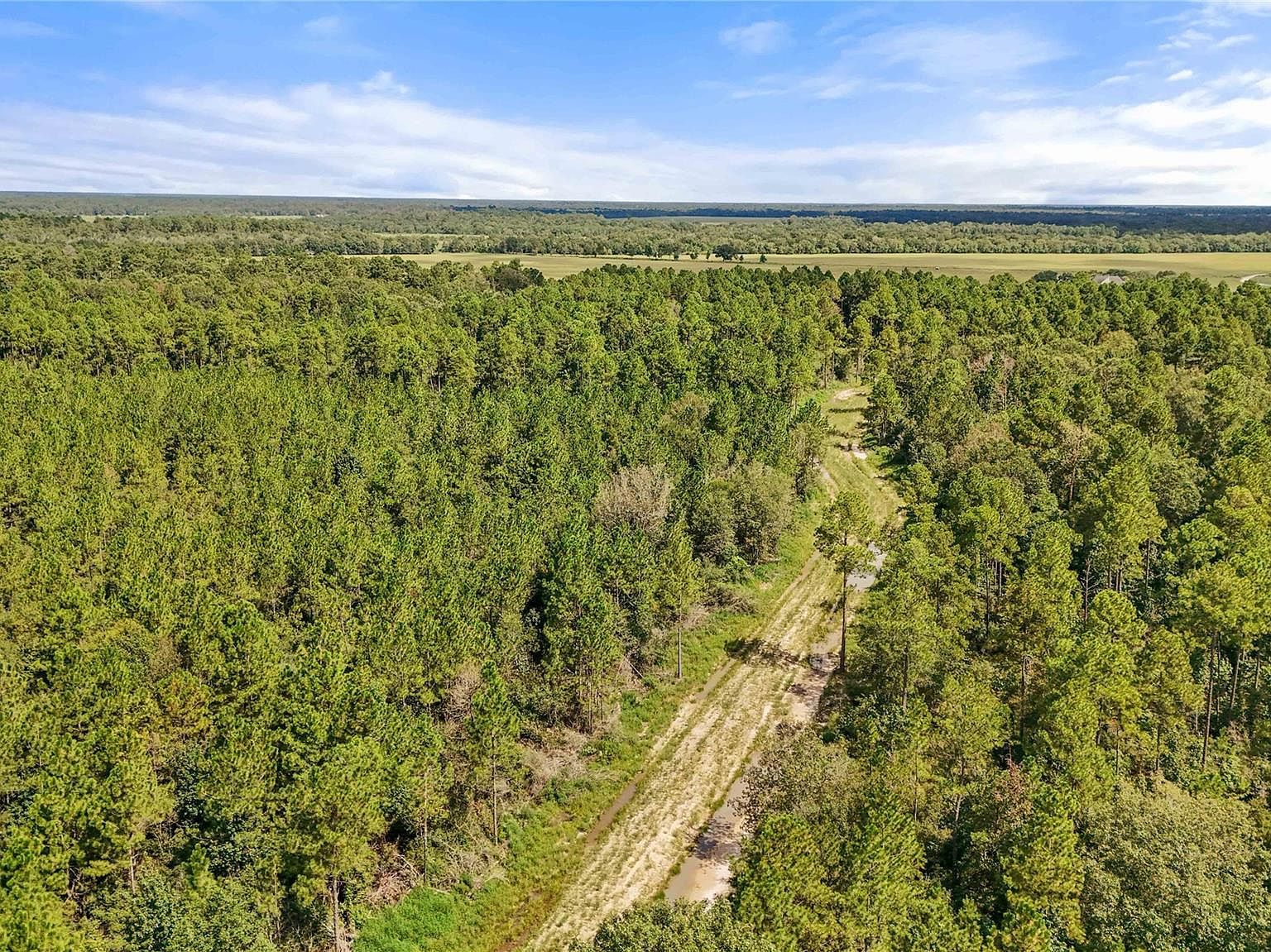 5 Highway 105 Sour Lake, TX 77659 - Thumbnail 3