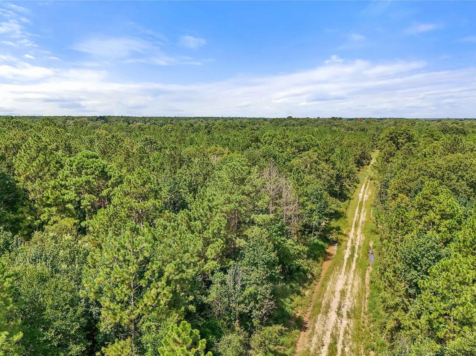 6 Highway 105 Sour Lake, TX 77659 - Thumbnail 3