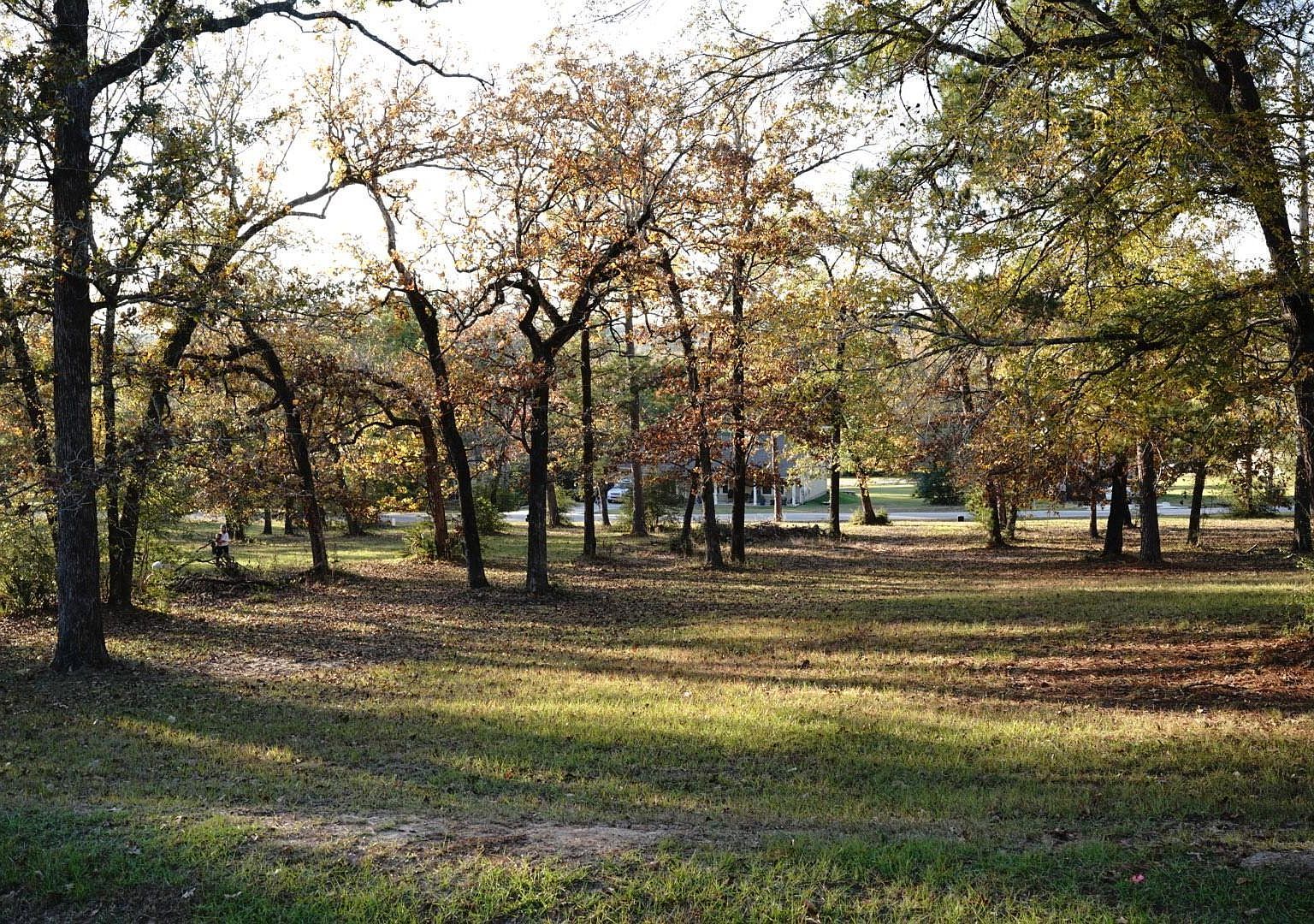 26 Hillsborough Dr Huntsville, TX 77340 - Thumbnail 3