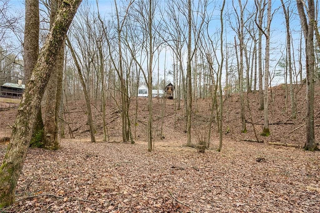 428 Licklog Rd Ellijay, GA 30536 - Thumbnail 3