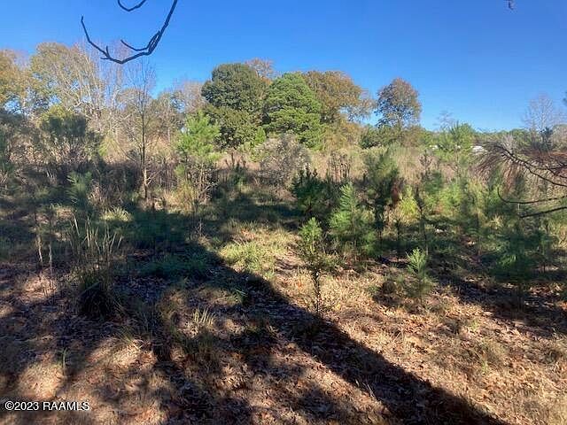 Landry Ln Eunice, LA 70535 - Thumbnail 3