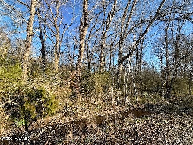 Heard Sylvester Rd Washington, LA 70589 - Thumbnail 3