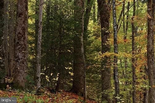 Miller Hill Rd La Plata, MD 20646  | Land/Lot