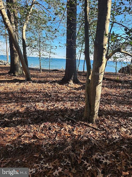 18500 Shipwreck Way Dameron, MD 20628 - Thumbnail 3