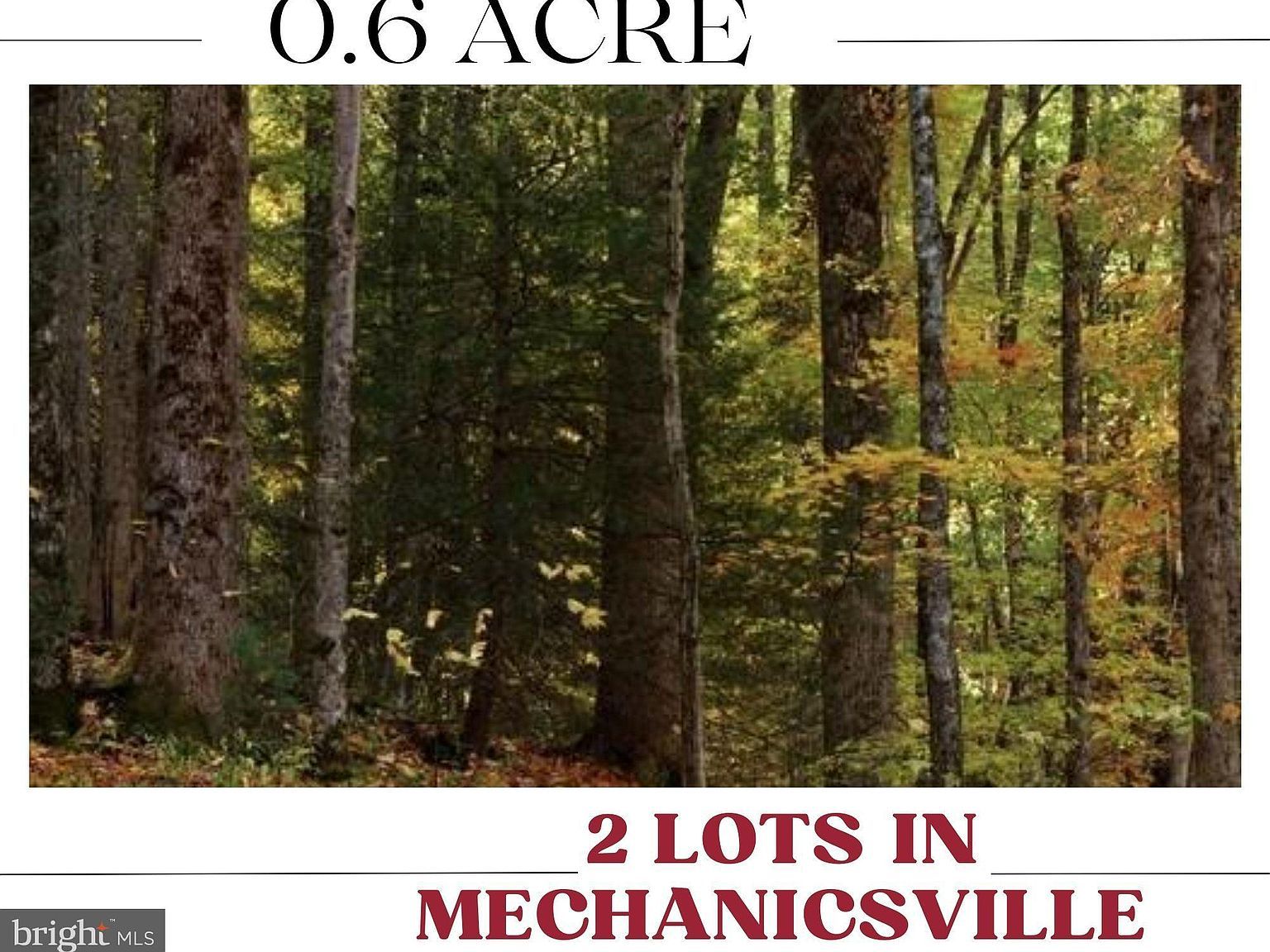 35300 Diplomat Dr, Mechanicsville, MD, 20659 | Land/Lot