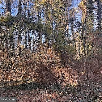 330 Lessin Dr Lusby, MD 20657 - Thumbnail 3