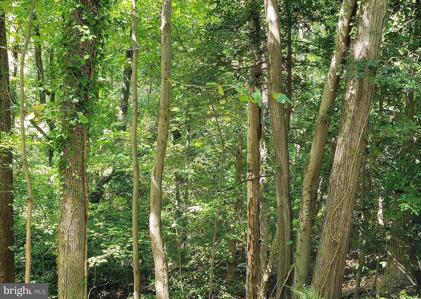 8406 Manor View Rd Lusby, MD 20657 - Thumbnail 3