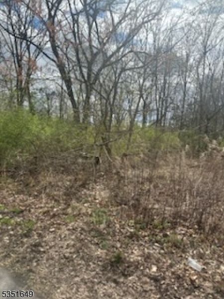 0 Warren Ave Stirling, NJ 07980  | Land/Lot