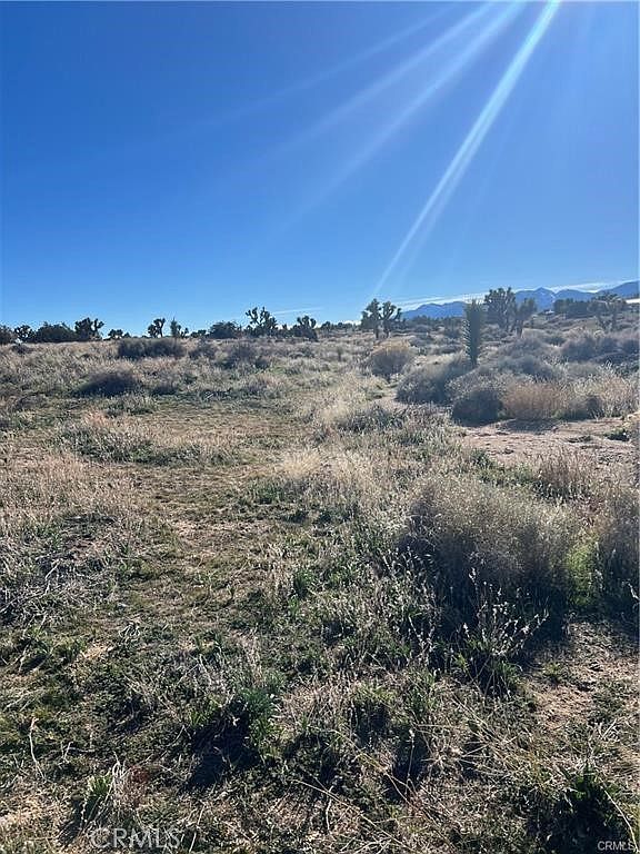 0 Tricobble Ct Phelan, CA 92371 - Thumbnail 3