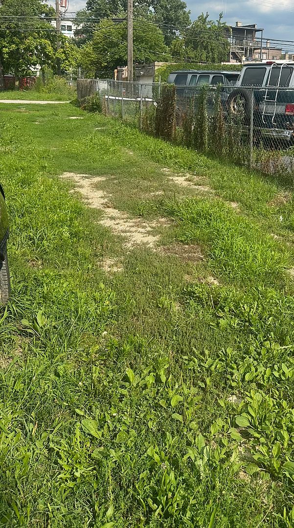 847 N Homan Ave Chicago, IL 60651 - Thumbnail 3