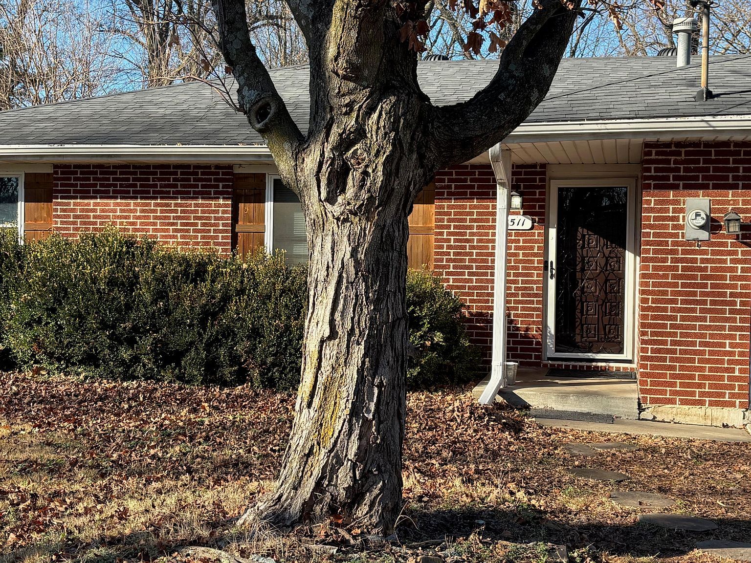 511 S Duke Ave Springfield, MO 65802 - Thumbnail 3