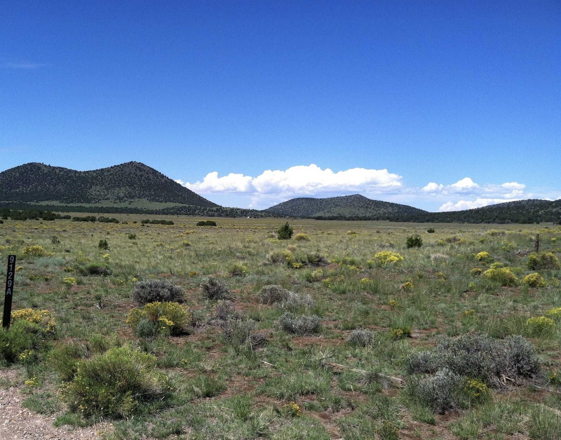 548 Forest Service Road, Flagstaff, AZ 86001, USA - Thumbnail 3