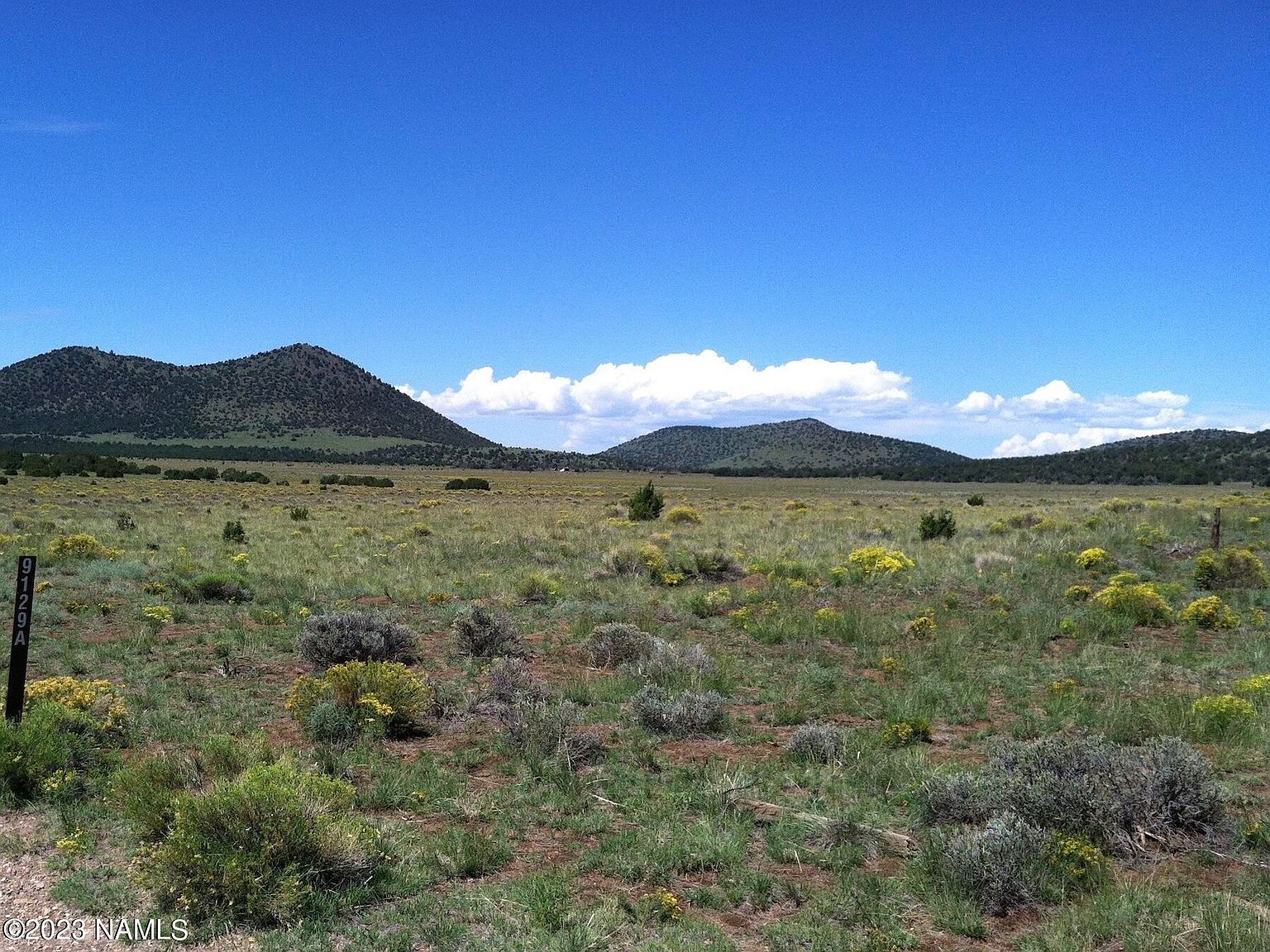 0 Fs Rd #548 Flagstaff, AZ 86001 - Thumbnail 3