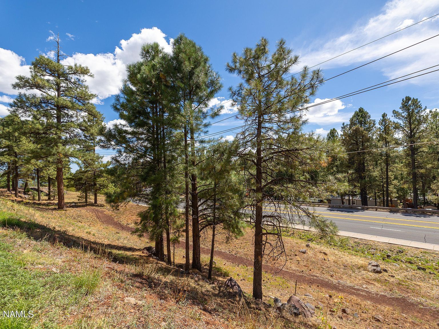2553 W Cripple Creek Dr Flagstaff, AZ 86001 - Thumbnail 3