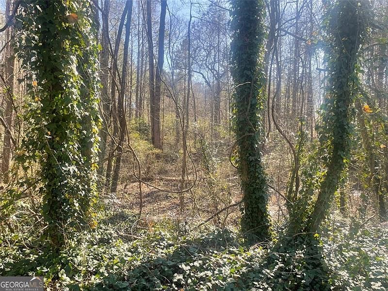 2115 Logan Dr Jonesboro, GA 30236 - Thumbnail 3