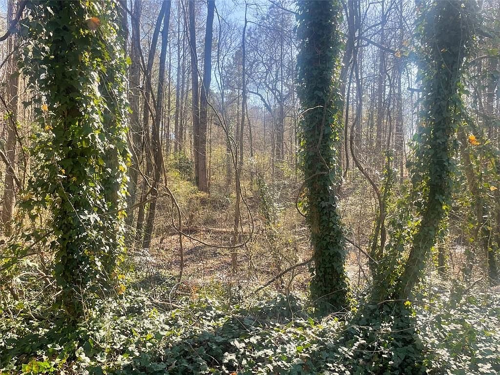 2115 Logan Dr #42 Jonesboro, GA 30236 - Thumbnail 3