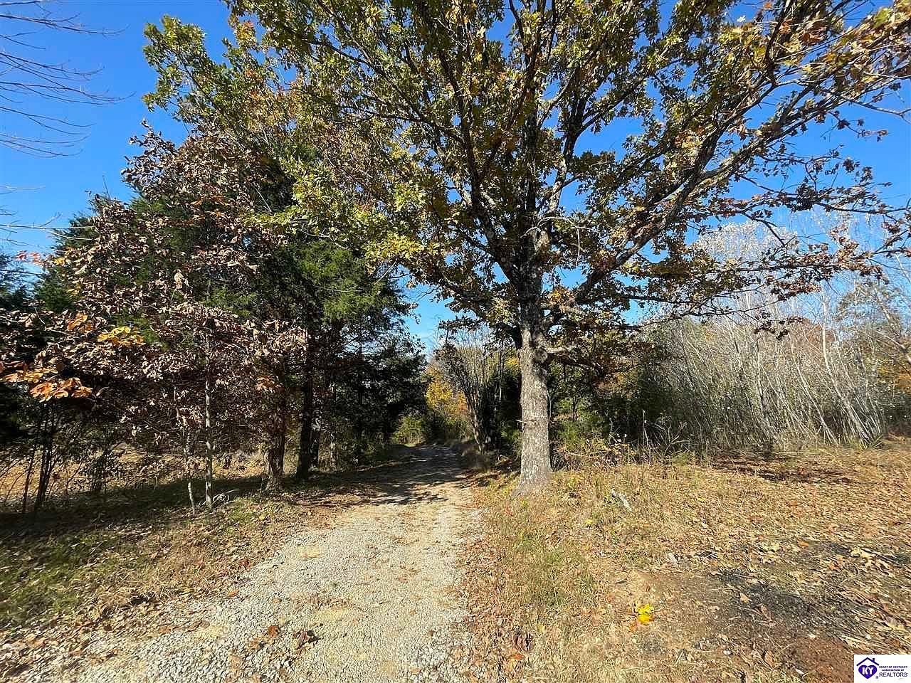 Morgantown Rd Caneyville, KY 42721 - Thumbnail 3