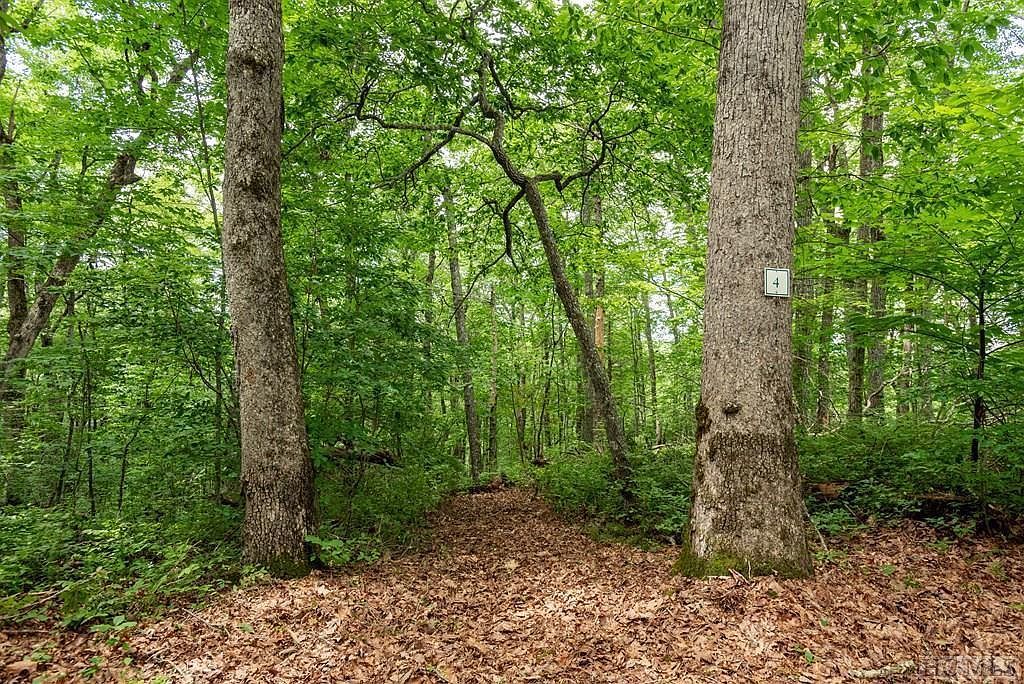 4 Parkview Ln Cullowhee, NC 28723 - Thumbnail 3