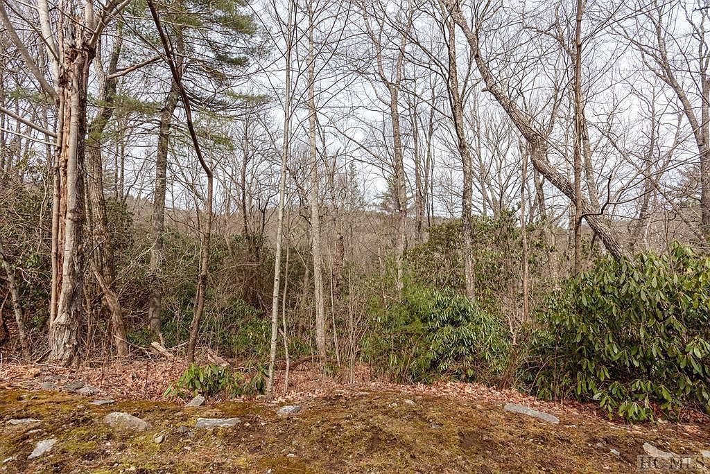 364 Cross Creek Trl Cullowhee, NC 28723 - Thumbnail 3