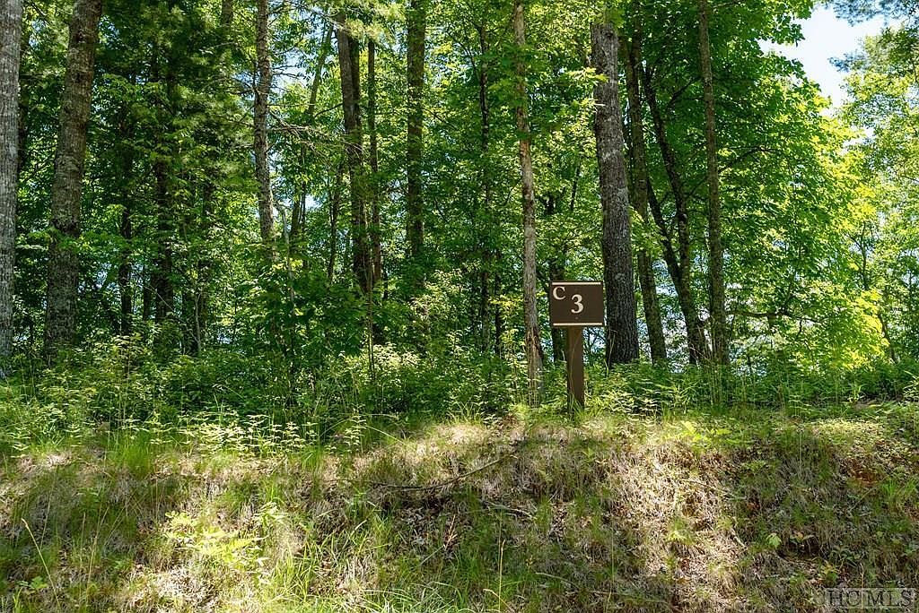 LOT C3 Snowcrest Dr Glenville, NC 28736 - Thumbnail 3