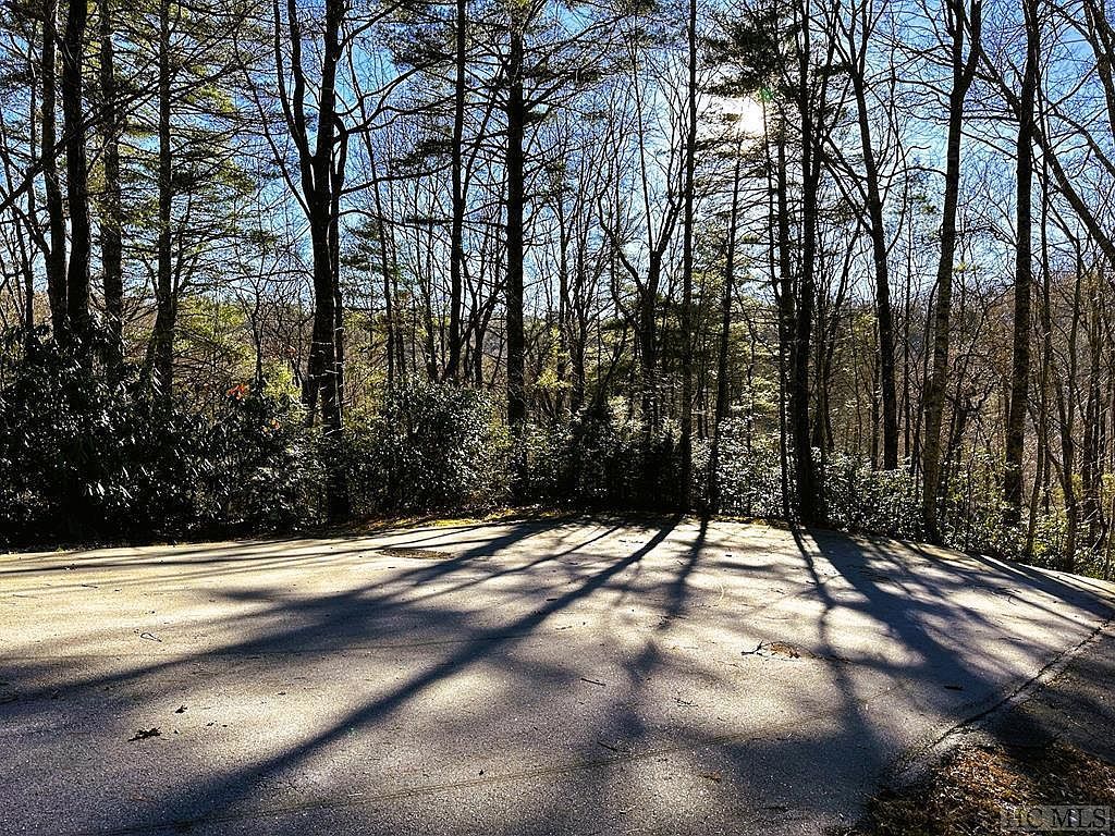 37 Alder Ct Sapphire, NC 28774 - Thumbnail 3