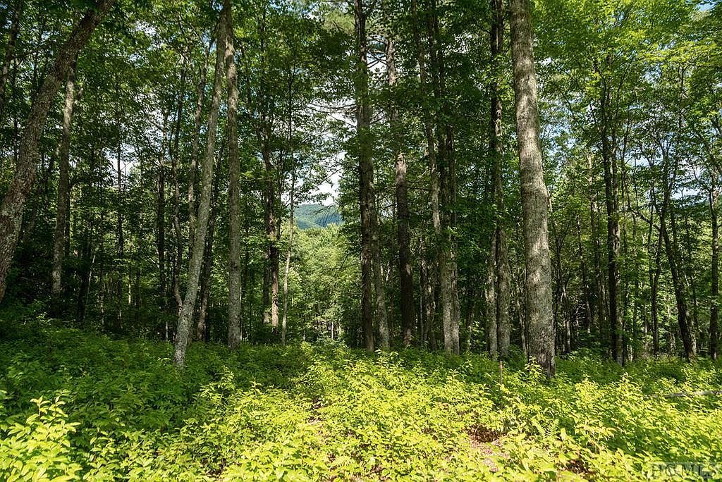 98 Blazing Star Dr Glenville, NC 28736 - Thumbnail 3