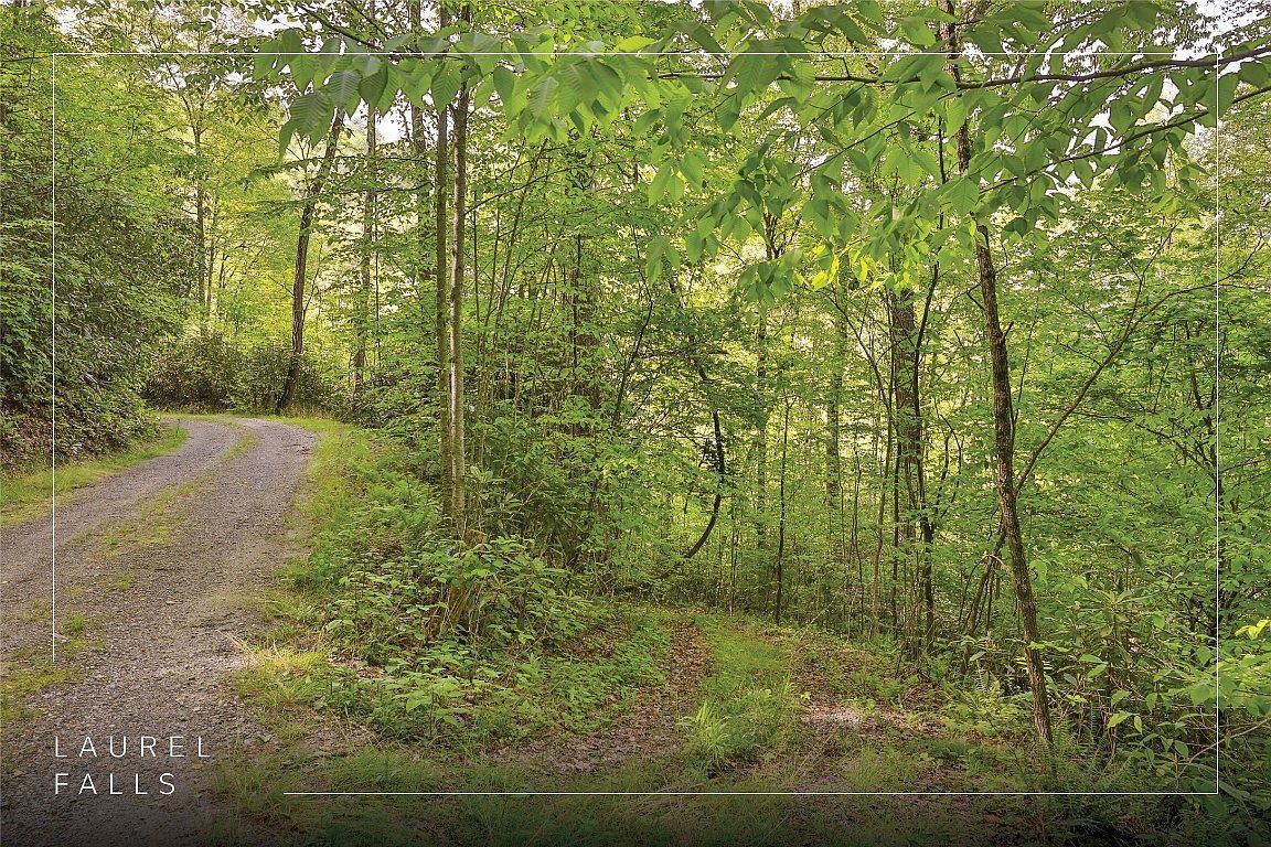 G110 Trimble Rdg Glenville, NC 28736 - Thumbnail 3