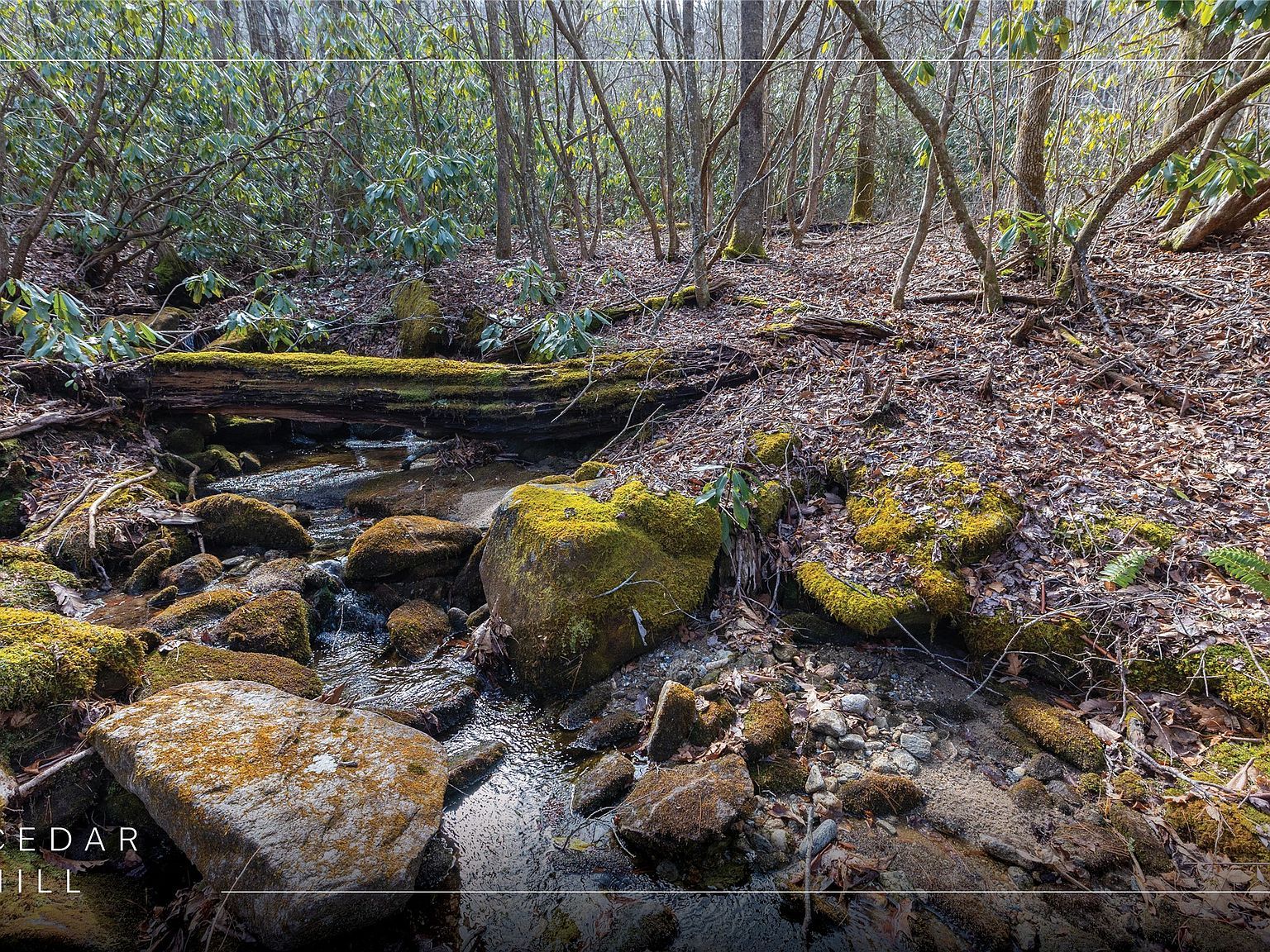 46 E Rochester Dr Cashiers, NC 28717 - Thumbnail 3