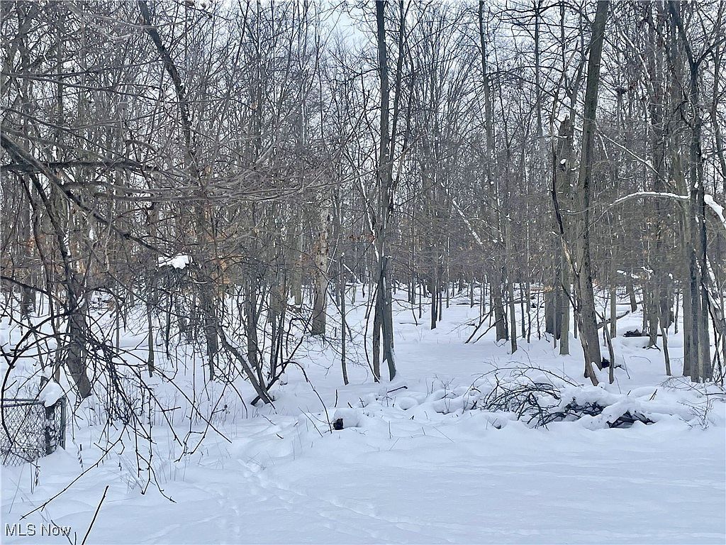 7791 Hoertz Rd, Parma, OH, 44134 - Thumbnail 3