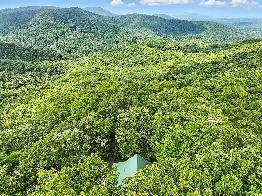 59 Bear Track Trl Morganton, GA 30560 - Thumbnail 3