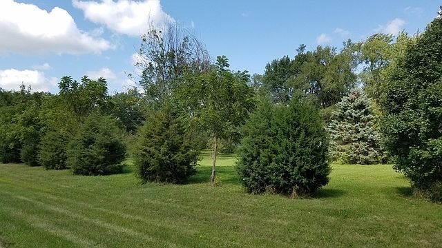 5548 W Heatherbrook Trl Monee, IL 60449 - Thumbnail 3