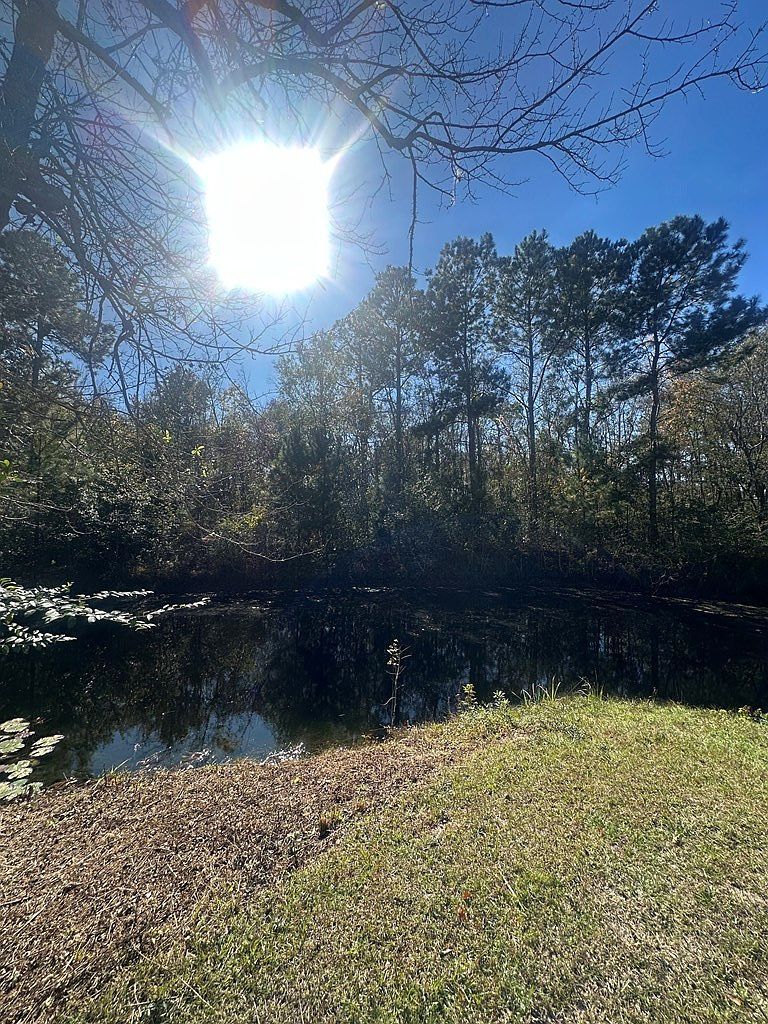 2262 Sardis Church Rd Moultrie, GA 31788 - Thumbnail 3