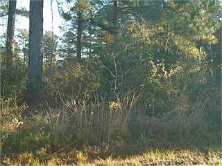 0 Ragin Rd Moultrie, GA 31768  | Land/Lot