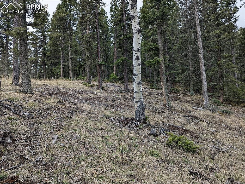 146 Waterfall Rd Manitou Springs, CO 80829 - Thumbnail 3