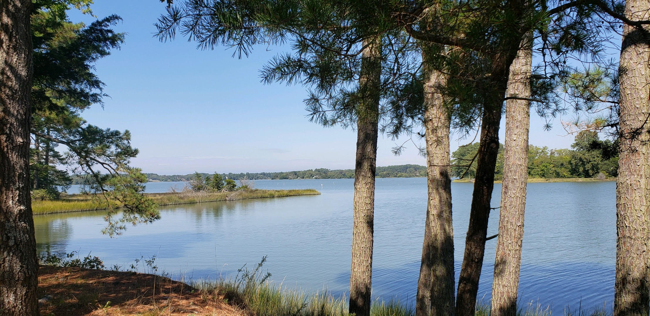 Franktown, VA, USA, 23354 - Thumbnail 3