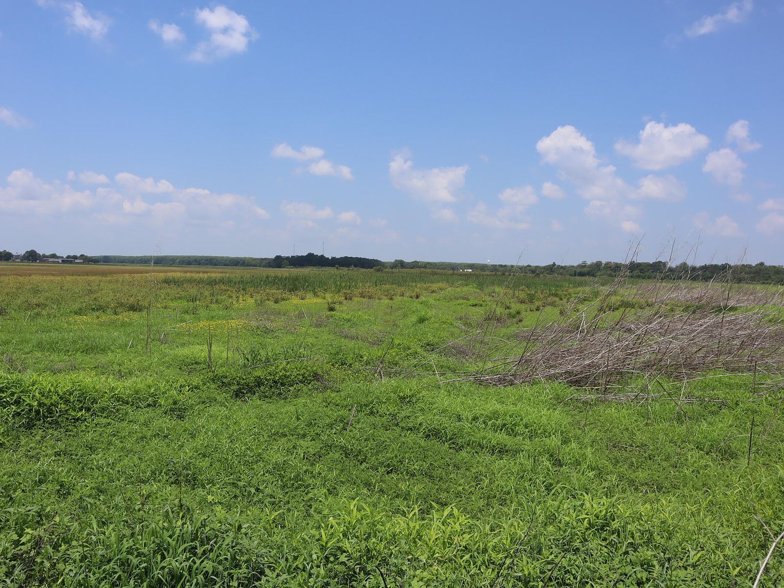 Highway 165 Humnoke, AR 72072 - Thumbnail 3