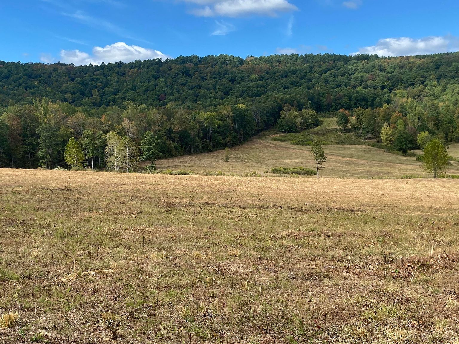 16810 State Route 7 N Dover, AR 72837 - Thumbnail 3