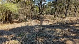 0 Ridge Rd Dardanelle, AR 72834 - Thumbnail 3