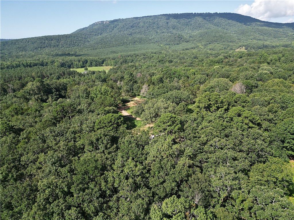 10301 Haney Hollow Rd Dardanelle, AR 72834 - Thumbnail 3