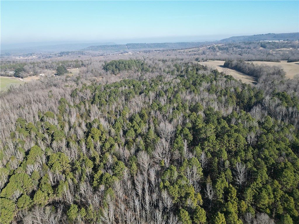 352 Baughman Loop Hattieville, AR 72063 - Thumbnail 3