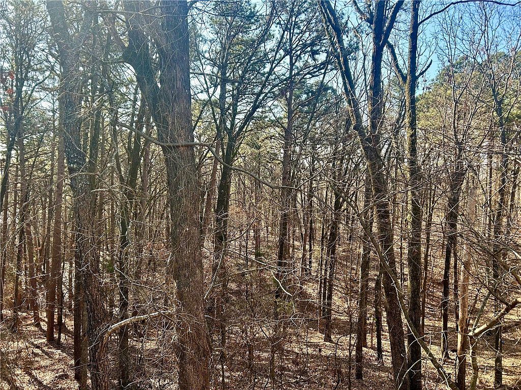 High Point Trl Clarksville, AR 72830 - Thumbnail 3