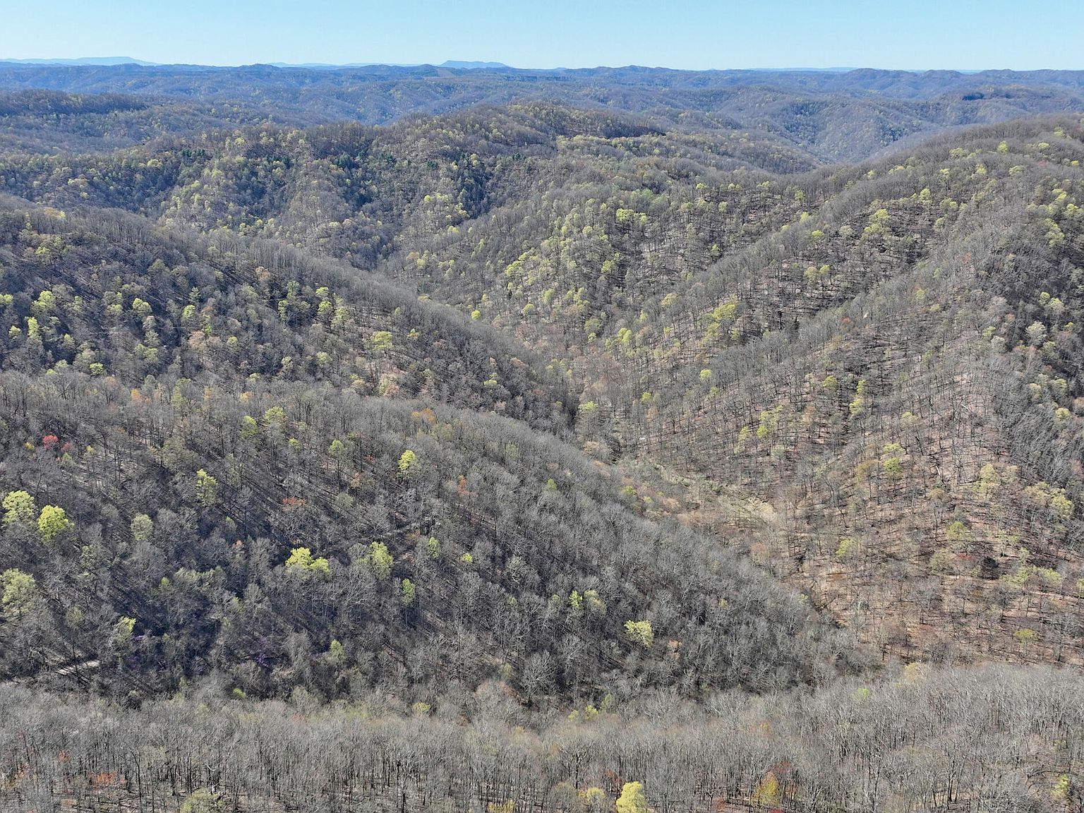 0 Guesses Fork Rd, Hurley, VA, 24620 - Thumbnail 3