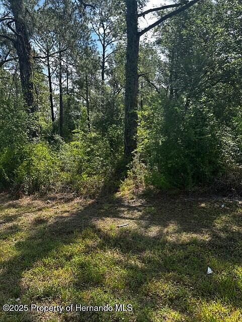0 Treiman Blvd LOT 15 Webster, FL 33597 - Thumbnail 3