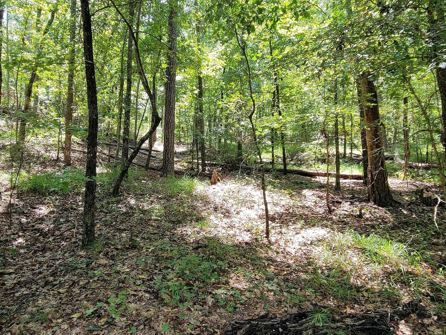 726 Marigold Rd #740 Sparta, GA 31087 - Thumbnail 3