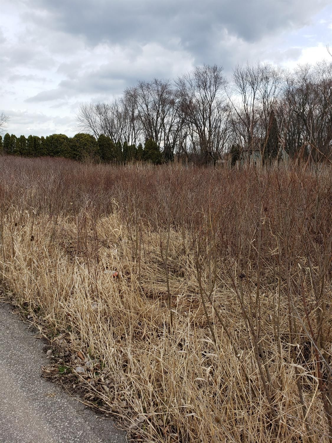 US Hwy 6, Portage, IN, USA, 46368 - Thumbnail 3