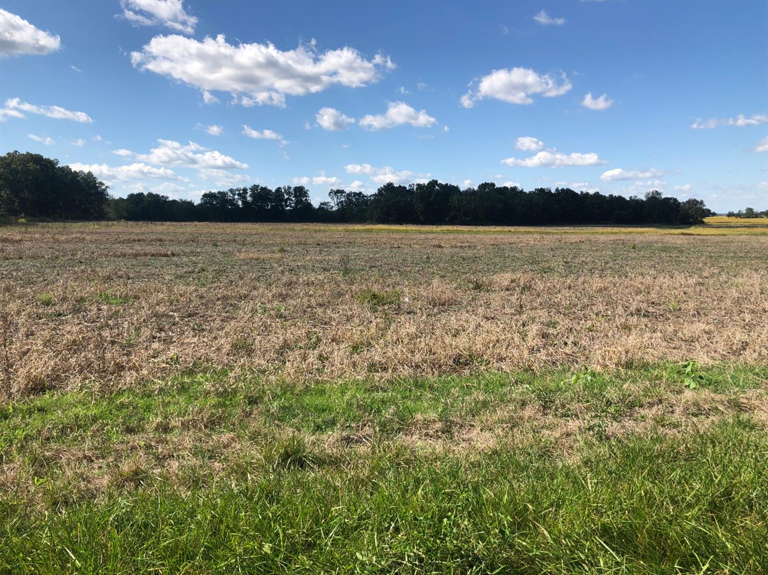 South County Line Road, Hobart, IN, USA, 46342 - Thumbnail 3