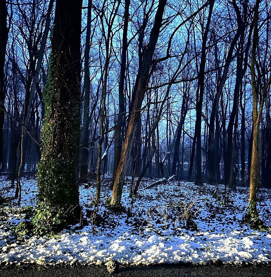 0 N Miller Blvd New Carlisle, IN 46552  | Land/Lot