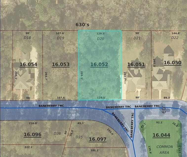 44 Baneberry Trce Hattiesburg, MS 39402 - Thumbnail 3