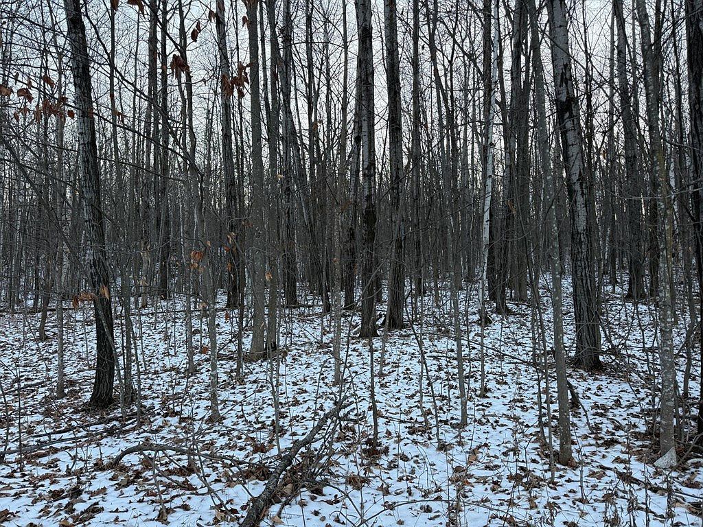 High Rd Brussels, WI 54204 - Thumbnail 3