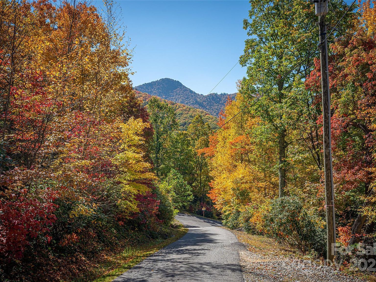 205 Chickadee Ln #205 Maggie Valley, NC 28751 - Thumbnail 3